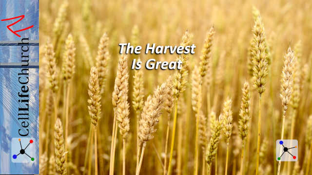 The Harvest Is Great