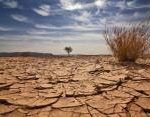 Dry Desert
