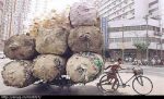 Man pulling a heavy load