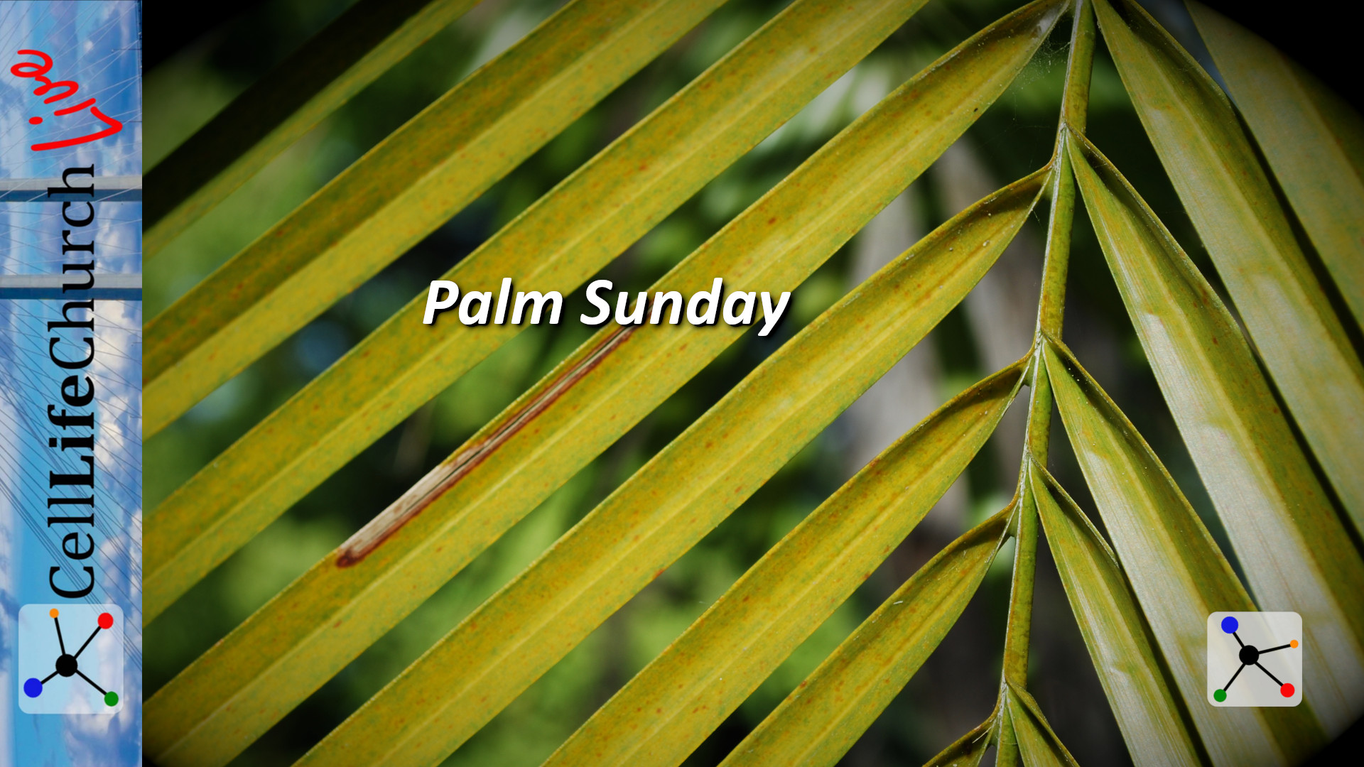 Palm Sunday 2020