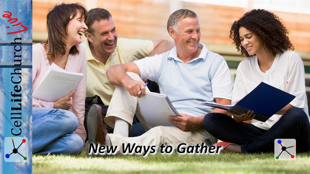 Adult group outside studying on a lawn