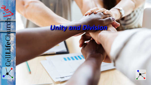 Unity and Division