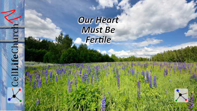 our heart must be fertile