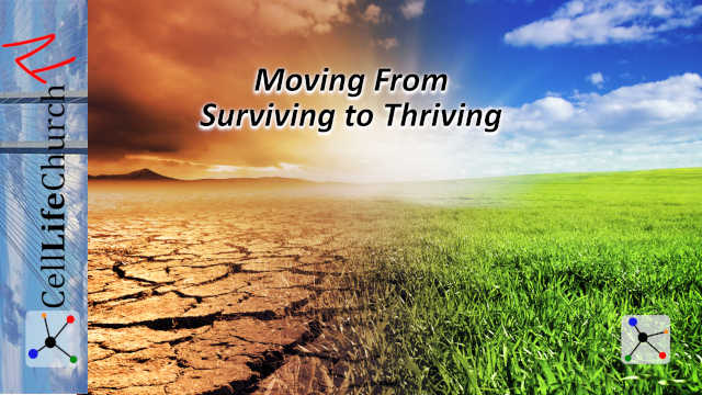 Moving From Surviving to Thriving