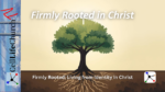 Firmly Rooted in Christ Firmly Rooted: Living from Identity in Christ – Week 1