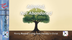 Adopted, Not Abandoned Firmly Rooted: Living from Identity in Christ